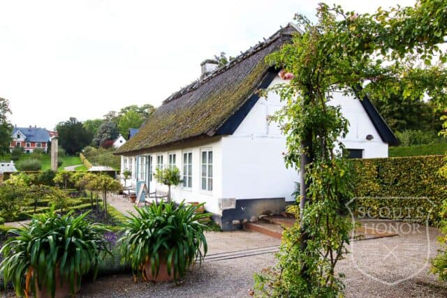 tehus tapet blå nuancer location denmark scoutshonor 26