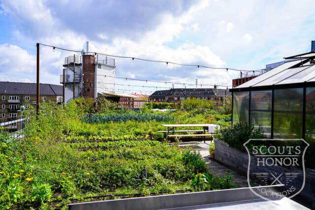 tagterrasse urban garden rooftop hønsehus location denmark scoutshonor 06