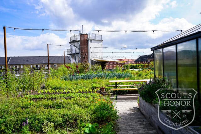 tagterrasse urban garden rooftop hønsehus location denmark scoutshonor 07