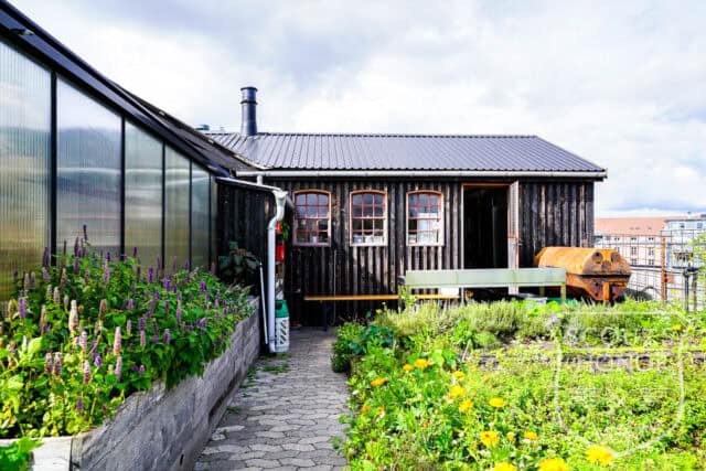 tagterrasse urban garden rooftop hønsehus location denmark scoutshonor 08
