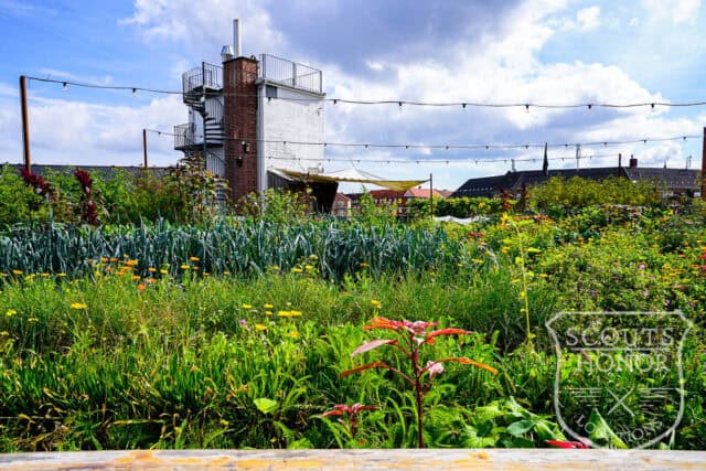 tagterrasse urban garden rooftop hønsehus location denmark scoutshonor 09