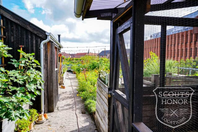tagterrasse urban garden rooftop hønsehus location denmark scoutshonor 15