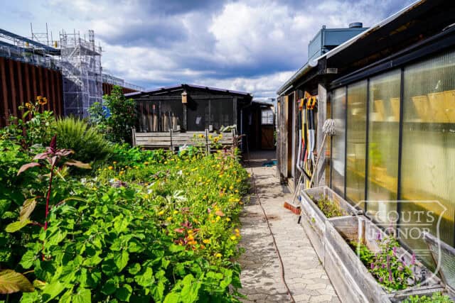 tagterrasse urban garden rooftop hønsehus location denmark scoutshonor 16
