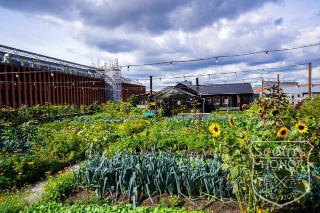 tagterrasse urban garden rooftop hønsehus location denmark scoutshonor 27