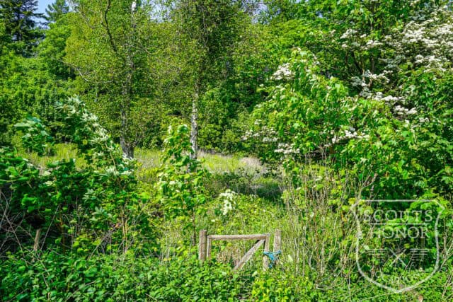 arkitekttegnet retro naturgrund charlottenlund panorama location denmark scoutshonor 052