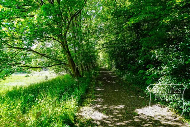 arkitekttegnet retro naturgrund charlottenlund panorama location denmark scoutshonor 167