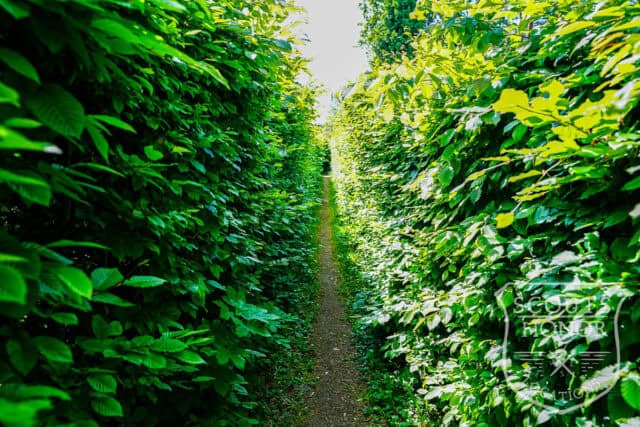 naturgrund holte bjælkehytte sø i baghaven location denmark scoutshonor 007