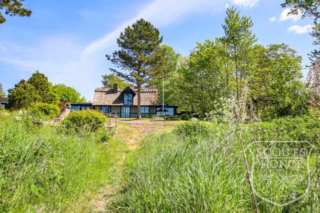 sommerhus kulhuse havudsigt stråtækt naturgrund location denmark scoutshonor 07