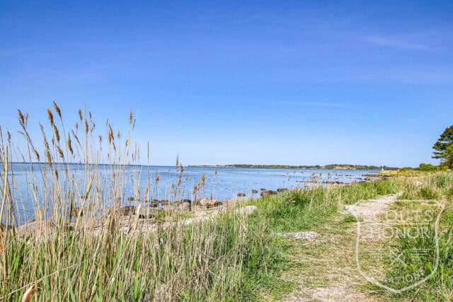 sommerhus kulhuse havudsigt stråtækt naturgrund location denmark scoutshonor 11
