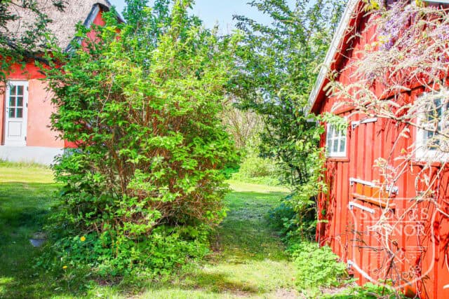 sommerhus tisvilde ståtækt rødt hus location denmark scoutshonor 03