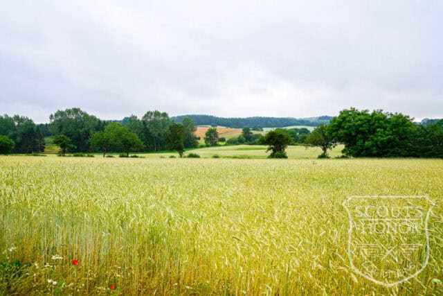 fyn villa naturgrund hestefold location denmark scoutshonor 07