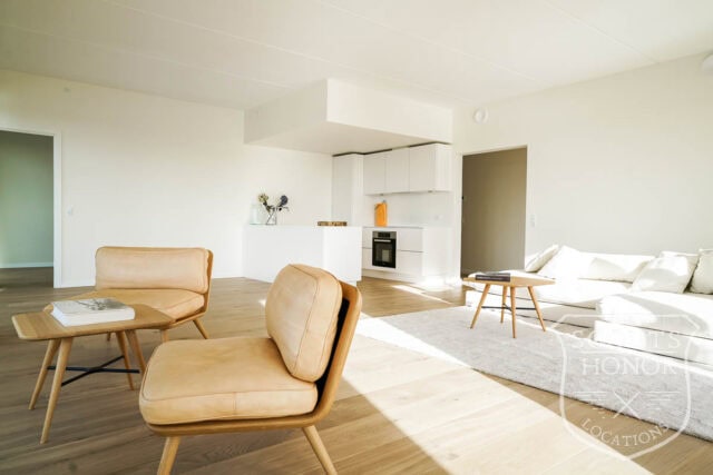 modern architecture central copenhagen apartment panorama view location denmark scoutshonor 34