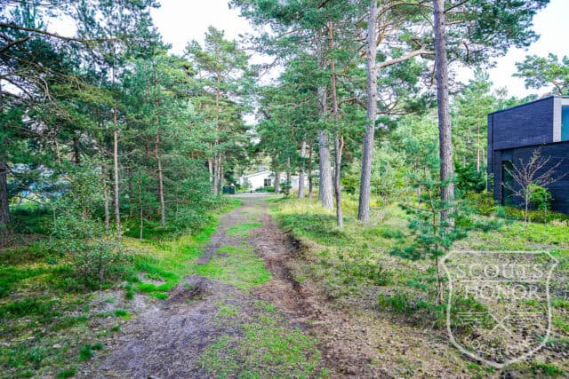 sweden luxury villa nature plot pool location denmark scoutshonor 011