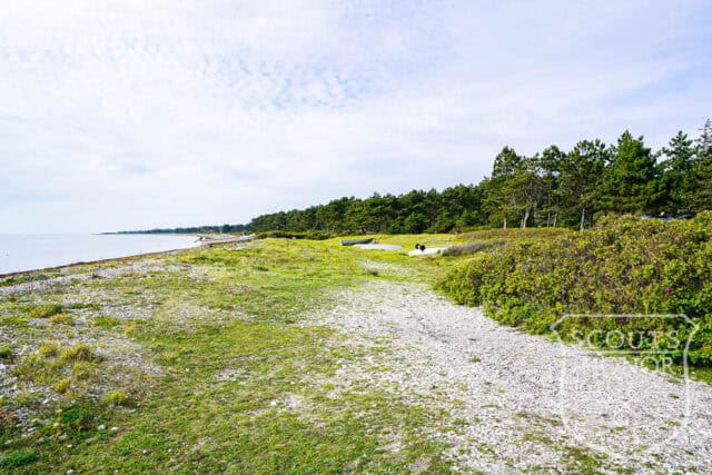 sommerhus træbeklædning lysindfald nykøbing sjælland location denmark scoutshonor 08