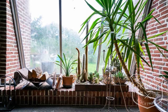 aarhus arkitektur sø i baghaven retro location denmark scoutshonor 72