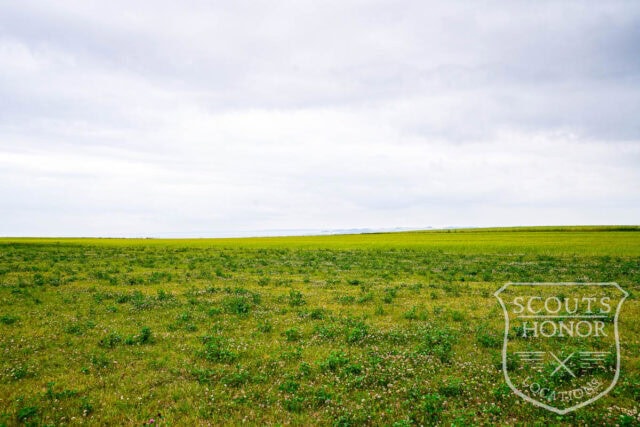 countryside udsigt til mark jylland idyl location denmark scoutshonor 10