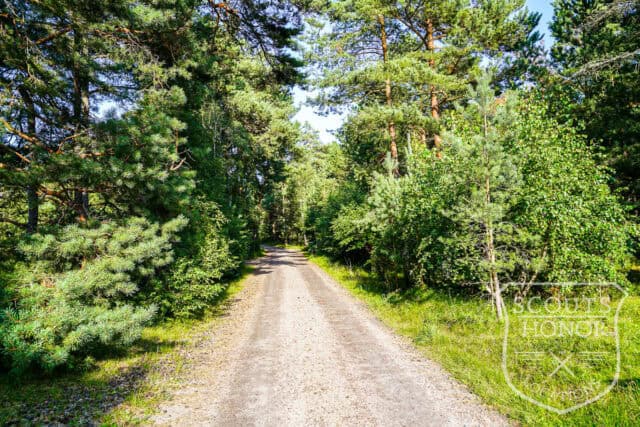 skåne arkitekttegnet villa udendørs pool naturområde luksus location denmark scoutshonor 096
