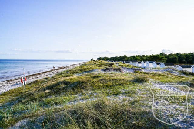 skåne arkitekttegnet villa udendørs pool naturområde luksus location denmark scoutshonor 103