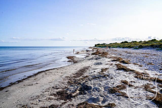 skåne arkitekttegnet villa udendørs pool naturområde luksus location denmark scoutshonor 104