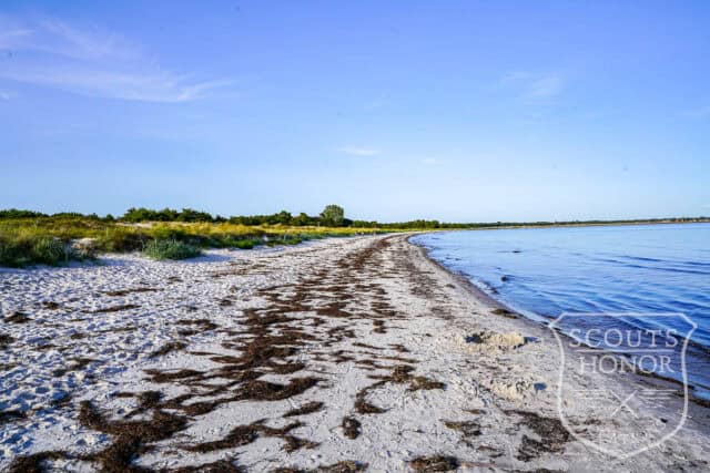skåne arkitekttegnet villa udendørs pool naturområde luksus location denmark scoutshonor 105