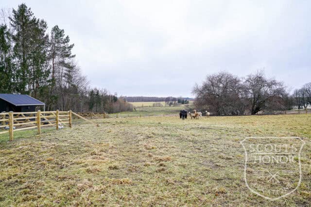 landsted kokkedal alpaca farm interiør location denmark scoutshonor 033
