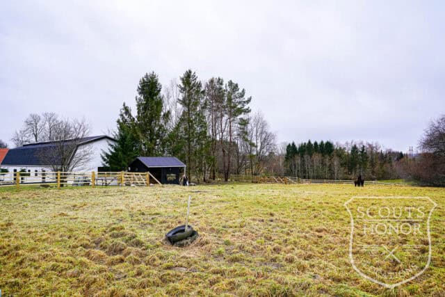 landsted kokkedal alpaca farm interiør location denmark scoutshonor 034