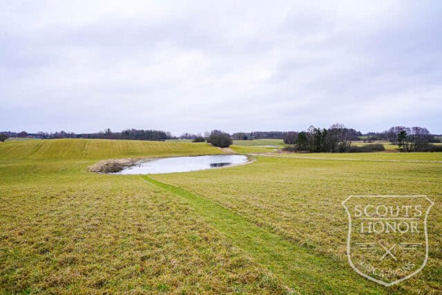 landsted kokkedal alpaca farm interiør location denmark scoutshonor 038