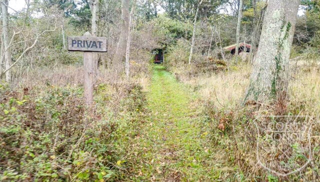 skovhytte landsted strand bjælker location denmark scoutshonor 08