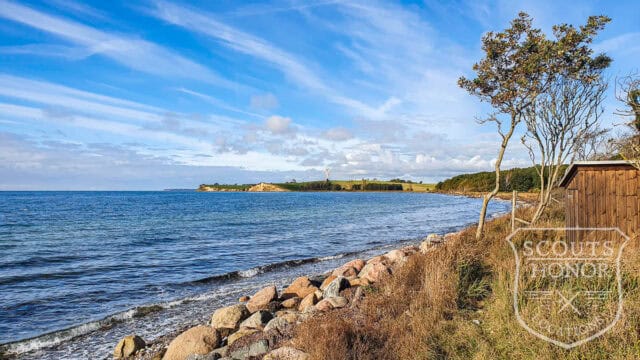skovhytte landsted strand bjælker location denmark scoutshonor 12
