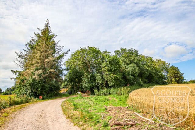 moderne arkitektur træhus garage nordsjælland location denmark scoutshonor 03