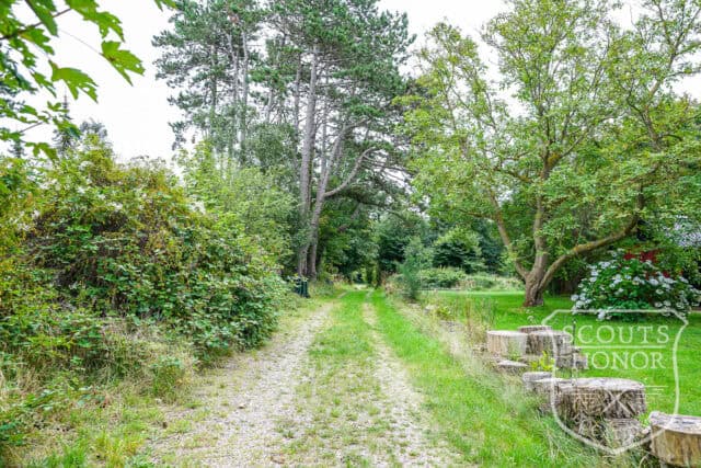 sommerhus træhus naturgrund høje træer træbeklædning location denmark scoutshonor 09