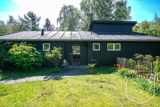 sommerhus landsted privat sø idyl hønsehus location denmark scoutshonor 019