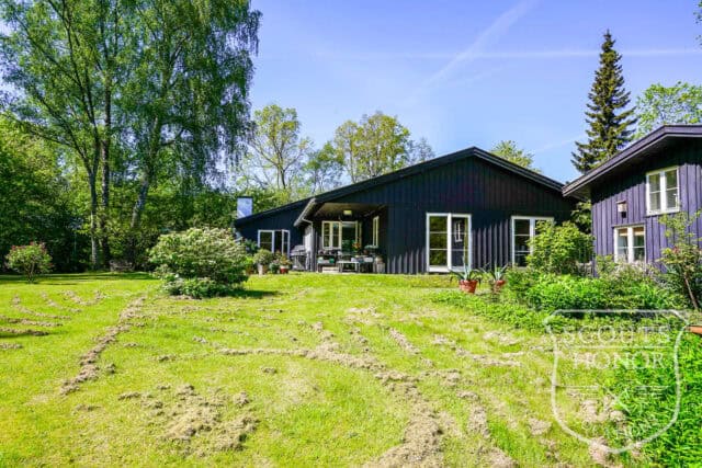 sommerhus landsted privat sø idyl hønsehus location denmark scoutshonor 031