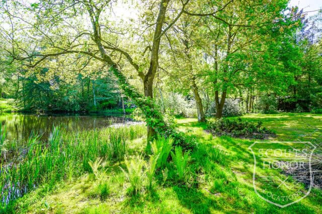 sommerhus landsted privat sø idyl hønsehus location denmark scoutshonor 032