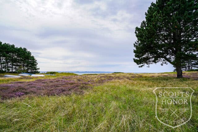 sommerhus 1. række natur privat strand pool location denmark scoutshonor 04