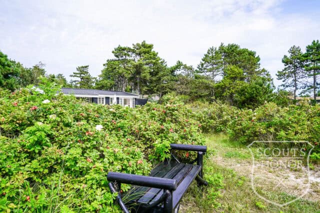 sommerhus 1. række natur privat strand pool location denmark scoutshonor 19