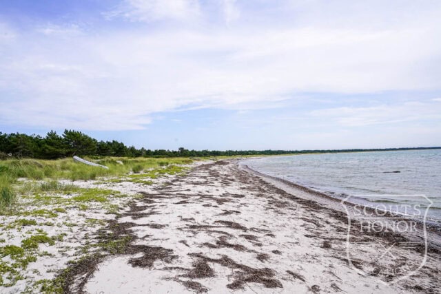 sommerhus 1. række natur privat strand pool location denmark scoutshonor 23