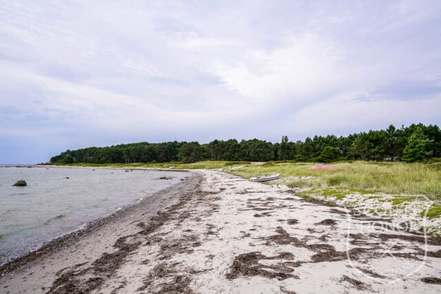 sommerhus 1. række natur privat strand pool location denmark scoutshonor 24