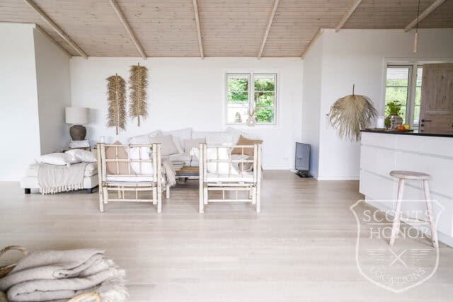 sommerhus 1. række natur privat strand pool location denmark scoutshonor 49
