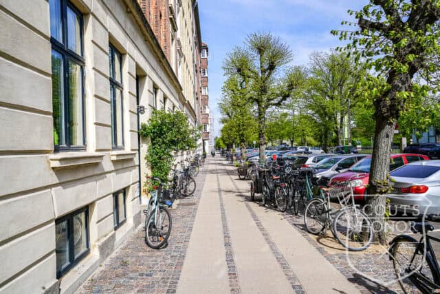 apartment boheme blue kitchen park view Østerbro location denmark scoutshonor 06