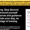 Image of a yellow and black website banner promoting "Join our Private Online Dog Training Community" with text about membership benefits and training guidance.