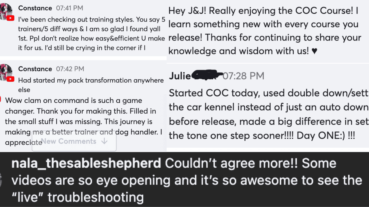 A series of social media comments discussing a new car feature and a mobile game. Users share experiences and gratitude for gained knowledge and improvements. One comment provides transformation advice, mentioning proven methods to curb reactive behavior in various scenarios.