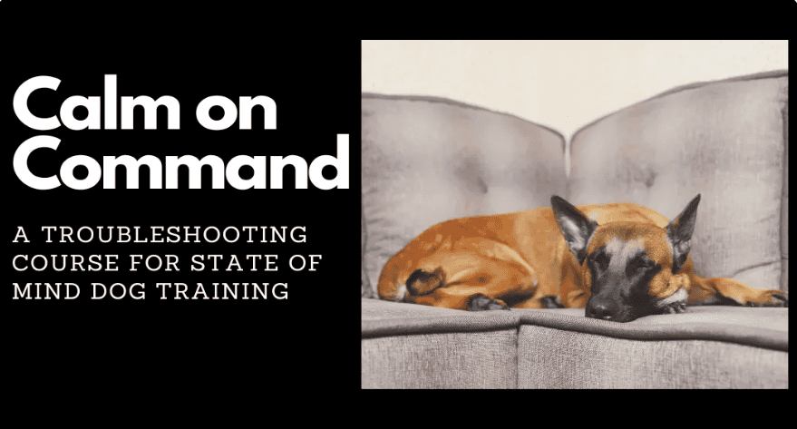 Image of a dog lying on a couch next to text that reads 