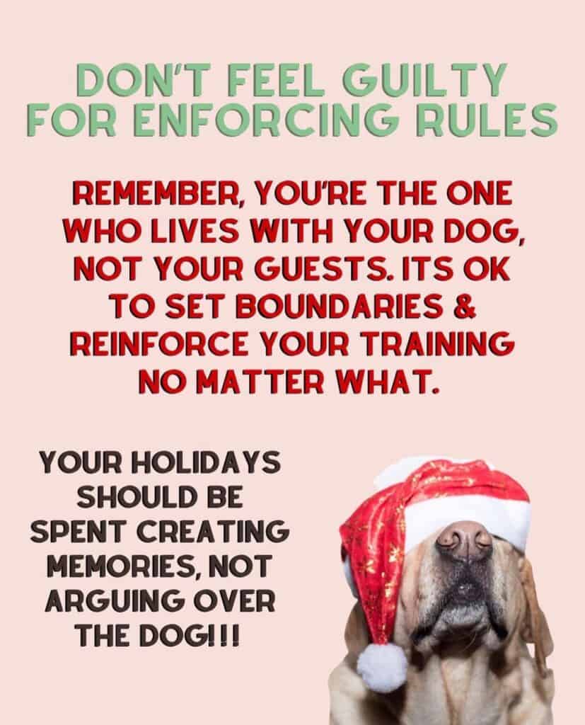 A dog in a Santa hat reminds us of the importance of setting boundaries for your pet during the holiday season. Consider holiday training or even a festive bootcamp to ensure your furry friend enjoys the festivities while staying well-behaved.