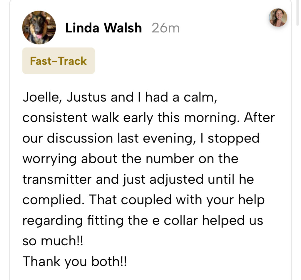 A screenshot of a message discussing a calm walk and adjustments made to a transmitter and e-collar, expressing gratitude for help received.