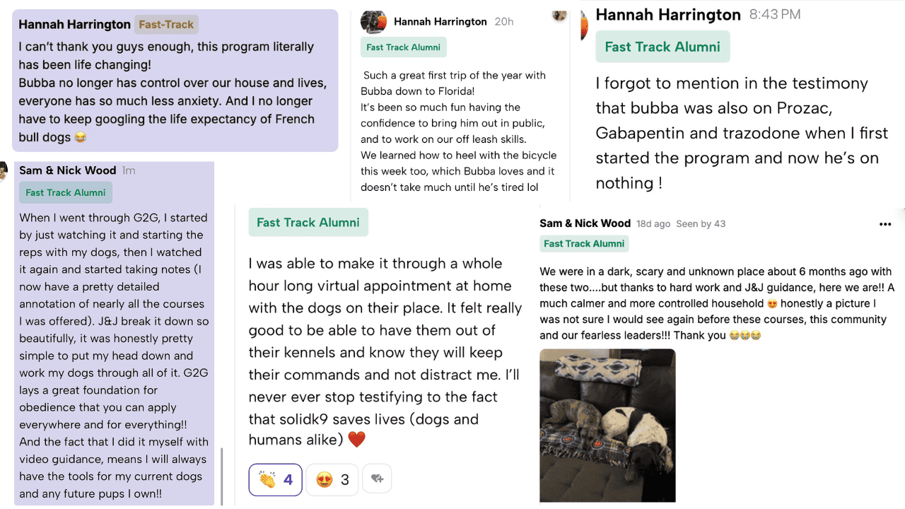 An image showing various text messages and posts about dogs moving to a new house, mentioning distractions, medications like Prozac and Gabapentin, and gratitude for a support system. An image showing various text messages and posts about dogs moving to a new house, mentioning distractions, medications like Prozac and Gabapentin, and gratitude for a support system.