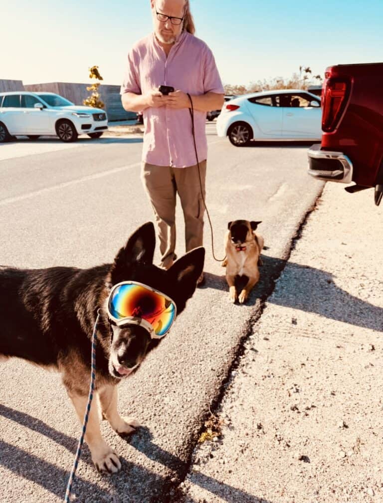 A man stands on the roadside holding leashes for two dogs; one dog is wearing colorful reflective goggles and the other sits beside him.