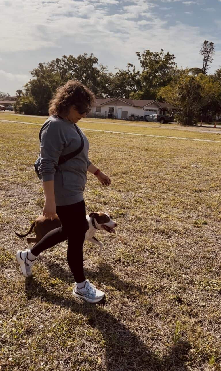 A person walks across a grassy field with a brown and white dog on a sunny day.