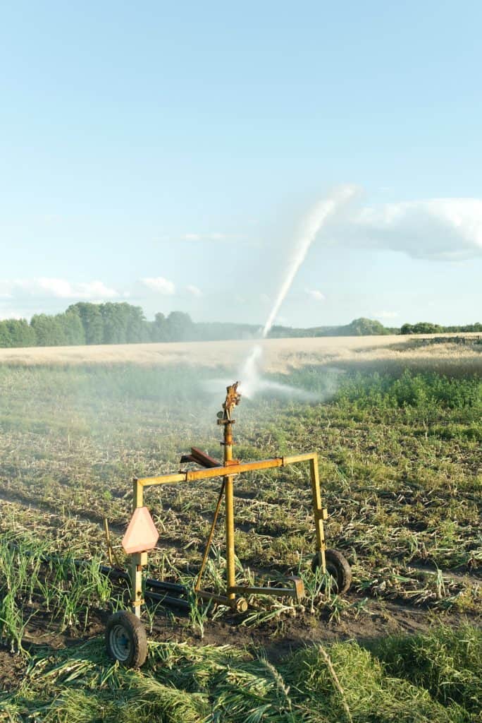 irrigation plants