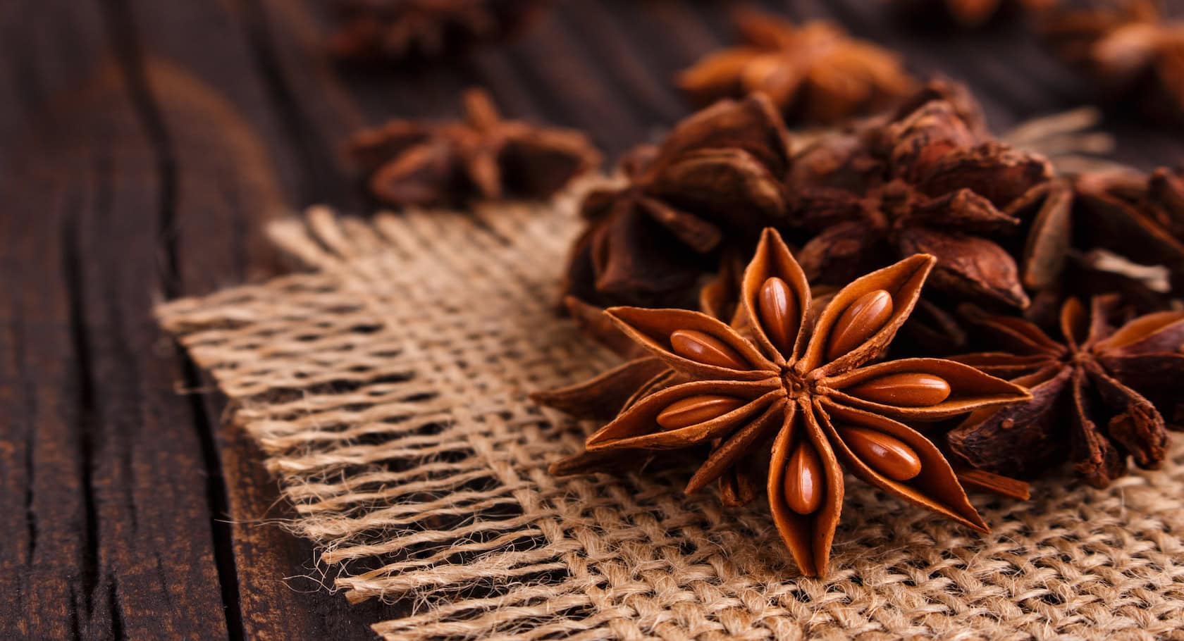 Star anise banner